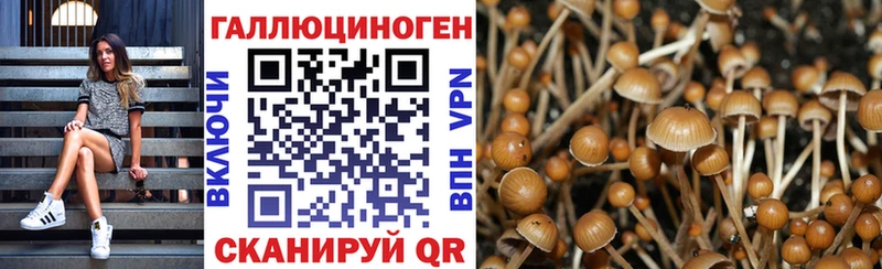 Псилоцибиновые грибы GOLDEN TEACHER  Купить закладки  Амурск 